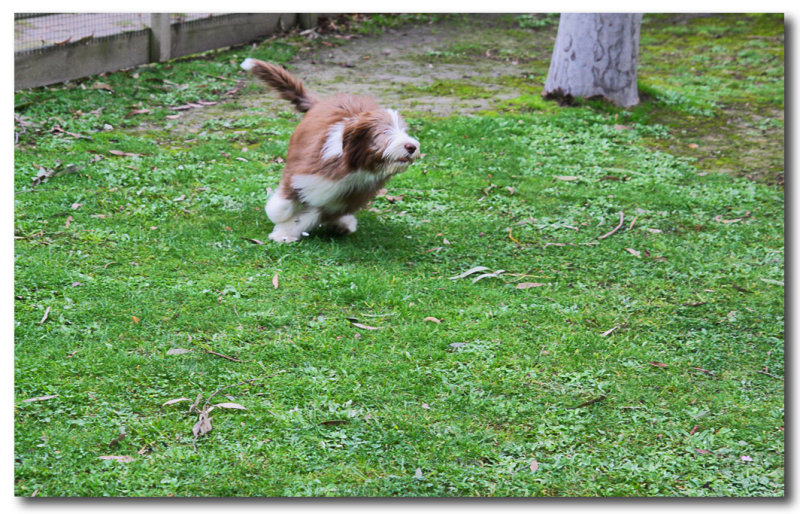Thumper - angle turn at full speed