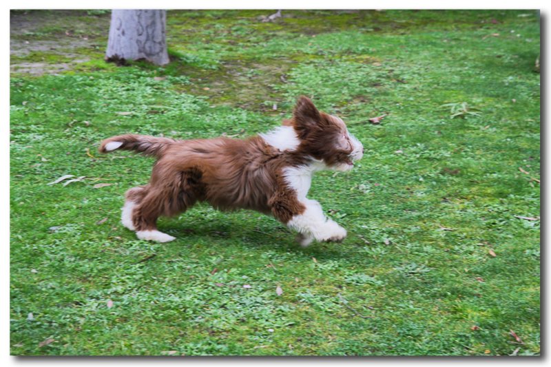 Thumper - Life is full of fun fun fun.