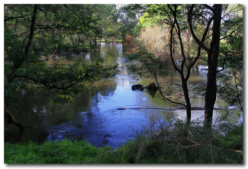 Yarra river Landscape.