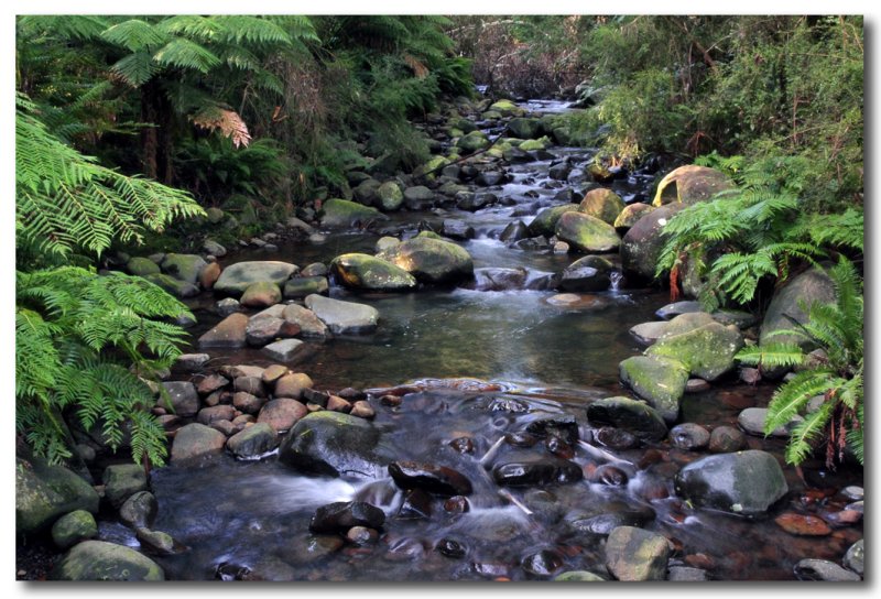 Badger Creek