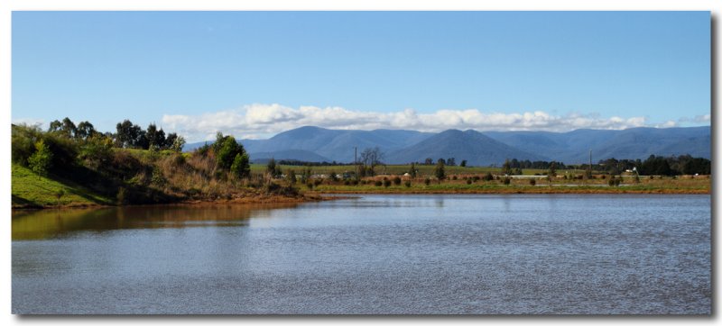 Yarra Glen landscape