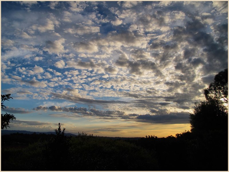 Afternoon cloud