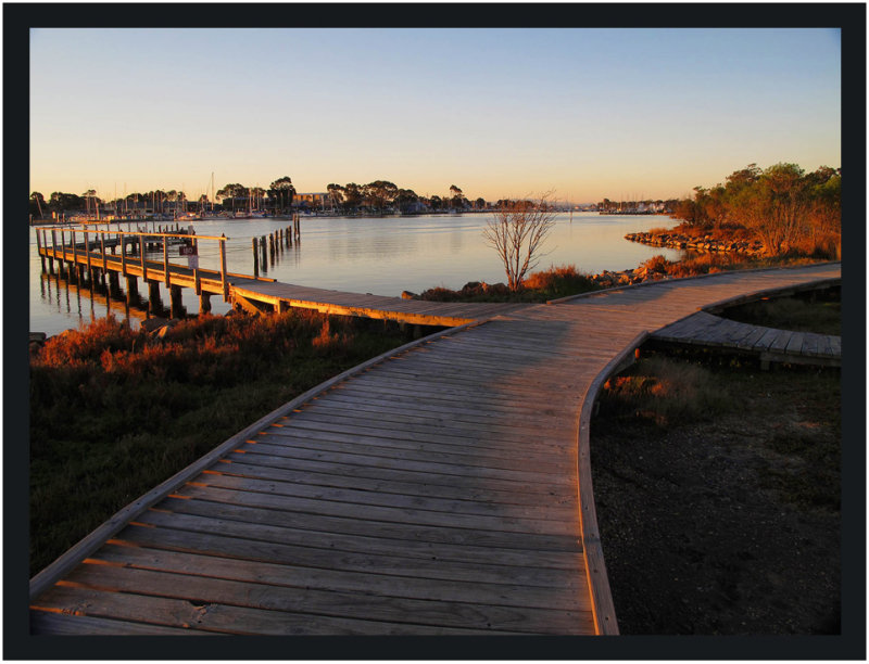 Raymond Island Boardwalk