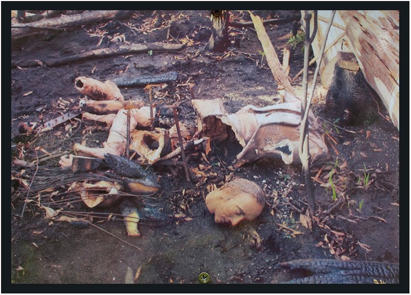 The pianist destroyed by the bushfire