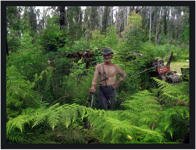 Wood cutter