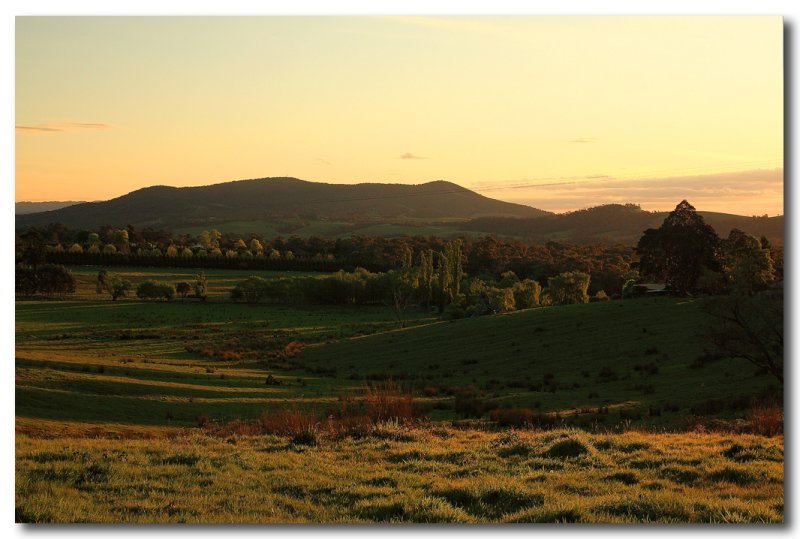 Warramate Hills