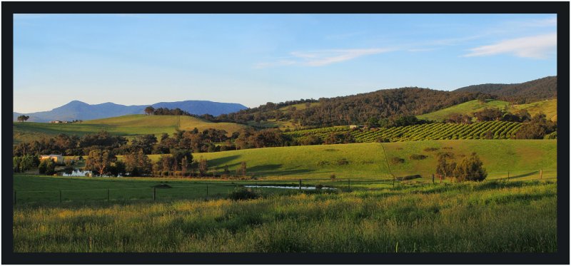 Panorama  Woori Yallock
