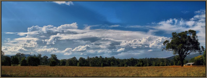 Across the fields