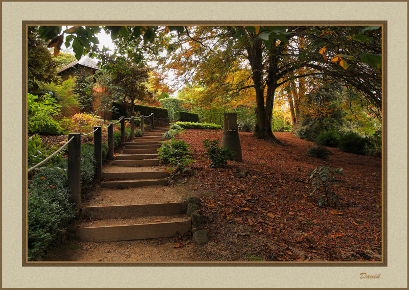 Cloud Hill Gardens