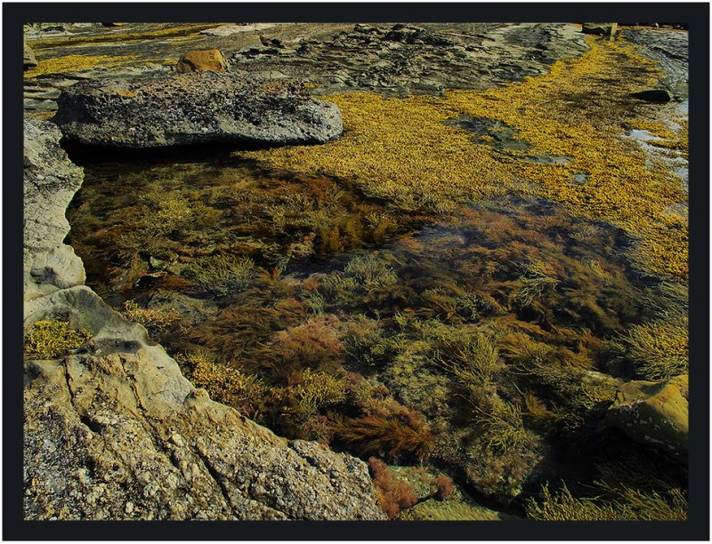 Rock pool on Eagles Nest rock platform