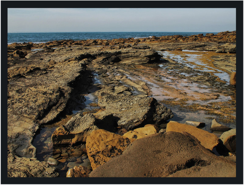 Rocky Reef