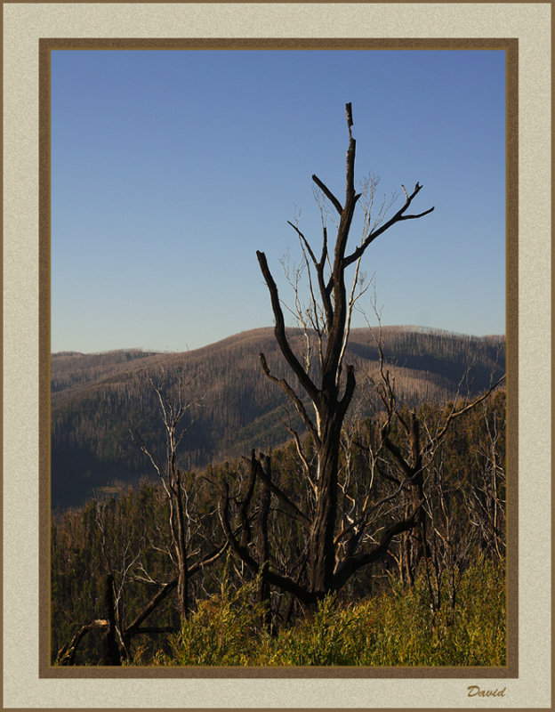  Keppel Lookout 