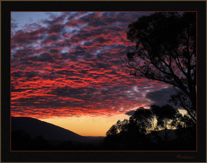 Winter Sunrise