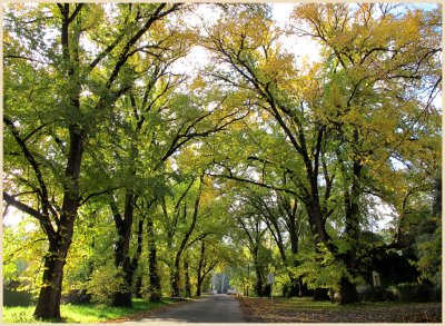 Autumn arch