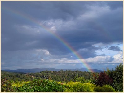 First rainbow for this season.