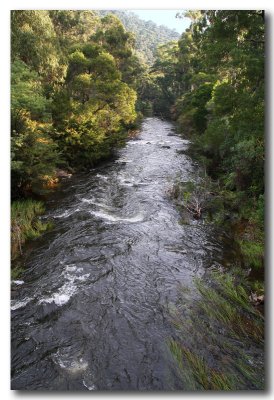 Yarra river Warburton