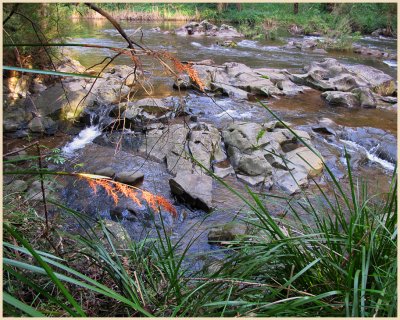 Yarra river Warburton