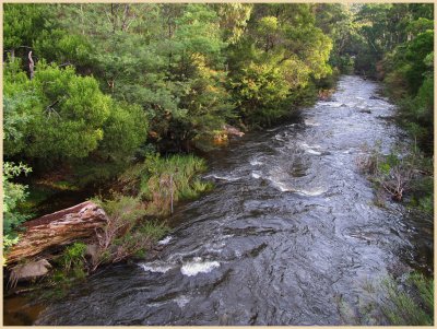 Yarra river  Warburton.