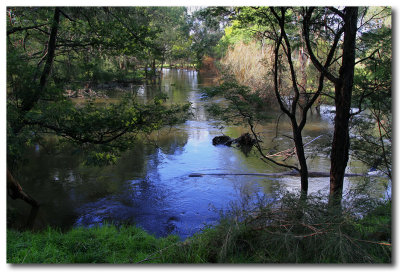 Yarra river Landscape.