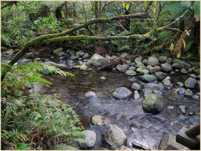 Badger creek