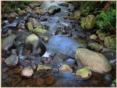 Badger creek blue sky reflections