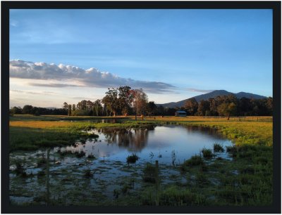 Pond in afternoon light