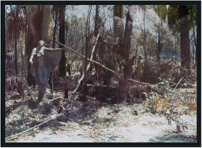 Statue of woman after bushfire