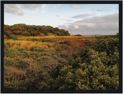  Screw Creek walk Inverloch