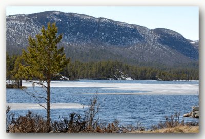 Hardangervidda