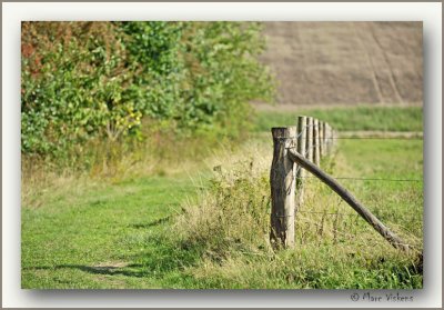 Borgloon