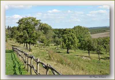Borgloon
