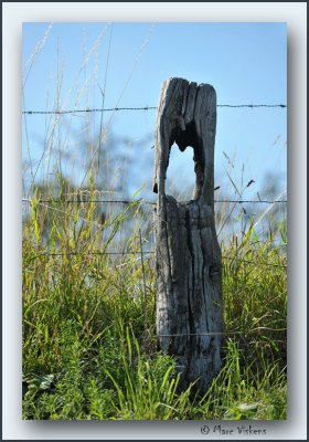 Borgloon