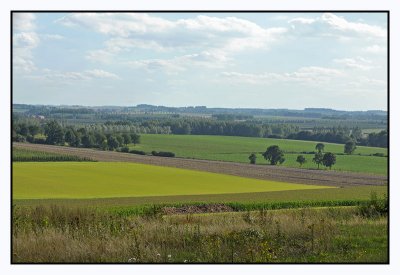 Borgloon
