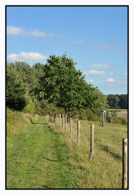 Borgloon