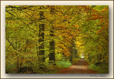 Herfst - Automne - Fall 