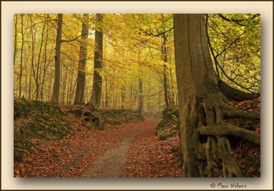 Herfst  - Fall  - Automne