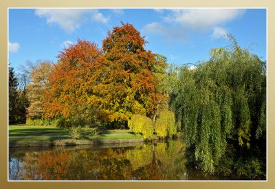 Fall Herfst Automne