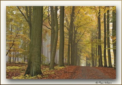 Herfst - Fall - Automne