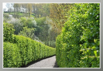 Borgloon bloesemwandeling