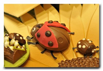 Antwerpen chocolates (chocolatier Burie)