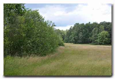 vallei van de Zwarte Beek Koersel