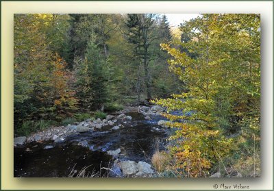 L'automne dans notre rgion  Hautes Fagnes Ternell