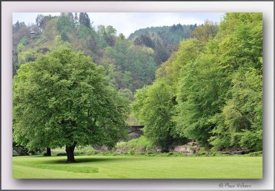 Bouillon