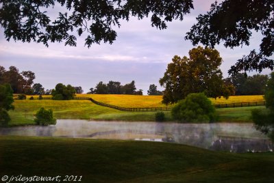 Quiet Pond on Rokeby Road