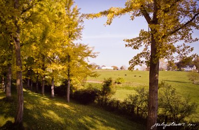 Along the Mosby Highway:Into the Shenandoah Valley