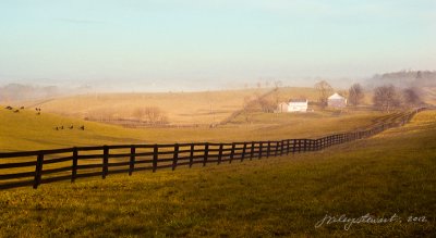 Early Morning Along Loyalty Road