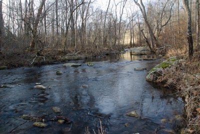 Along the Banks of Dutchmans Creek