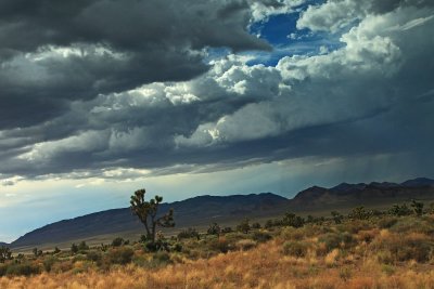 Nevada Landscape 3