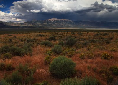 Nevada Landscape 4