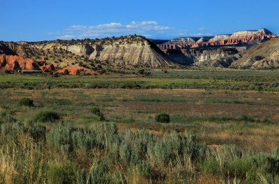 Utah Landscape 1